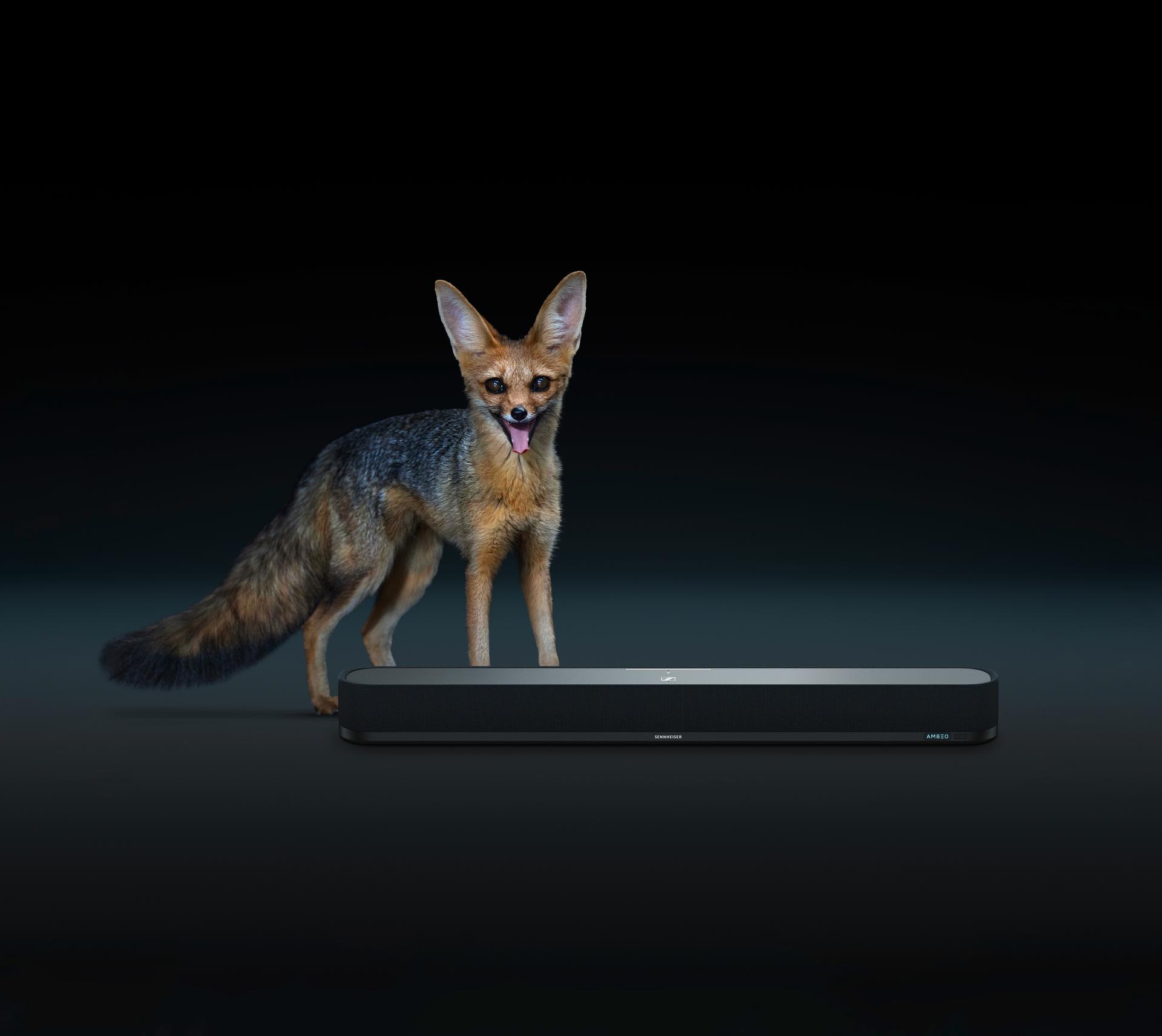 Amazon.co.jp: ゼンハイザー(Sennheiser) AMBEO Soundbar Mini